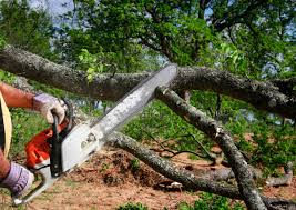 Leaf Removal in Munsey Park, NY